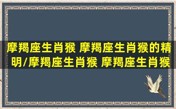 摩羯座生肖猴 摩羯座生肖猴的精明/摩羯座生肖猴 摩羯座生肖猴的精明-我的网站